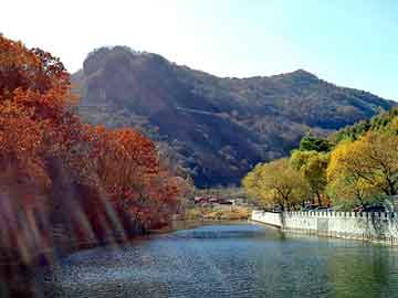 管家婆黑白马报图库，guigushi